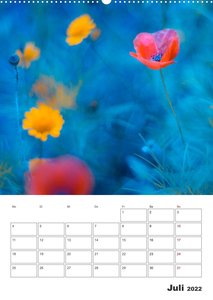 Farbiger Blütentraum (Premium, hochwertiger DIN A2 Wandkalender 2022, Kunstdruck in Hochglanz)