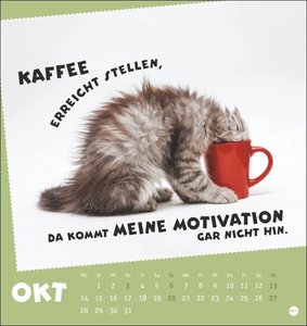 Mach mal Pause Postkartenkalender 2024. Kleiner Tierkalender mit lustigen Sprüchen rund um Büro und Arbeit. Kalender zum Aufstellen oder Aufhängen, mit witzigen Postkarten zum Sammeln und Versenden.