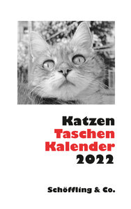 Katzen Taschenkalender 2022