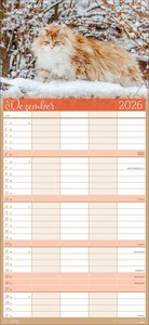 Cool Cats Familienplaner 2026