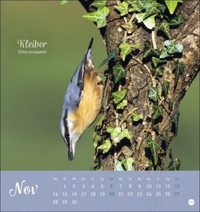 Vögel in unseren Gärten Postkartenkalender 2022