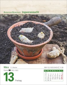 Mein Garten Tagesabreißkalender 2026