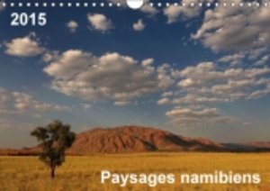 Paysages namibiens / FR-Version (Calendrier mural 2015 DIN A4 horizontal)