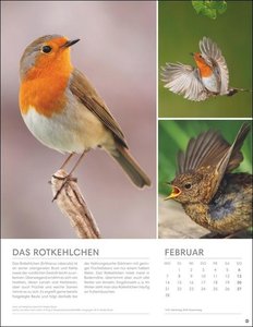 Vögel in unseren Gärten Posterkalender 2022