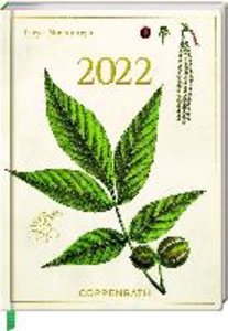 Mein Jahr 2022 - Hickory (Sammlung Augustina)