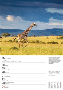 Naturschätze Afrikas Wochenplaner 2026