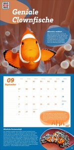 WAS IST WAS Tierwelt Broschurkalender 2026