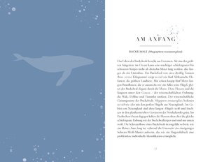Die Reise der Wale