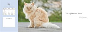 Katzen Premium-Tischplaner 2026 - Der literarische Wochenkalender mit Zitaten