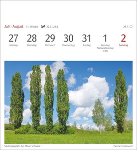 Bäume Postkartenkalender 2026