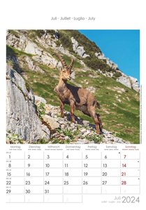 Alpen 2024 - Bild-Kalender 23,7x34 cm - The Alps - Wandkalender - mit Platz für Notizen - Alpha Edition