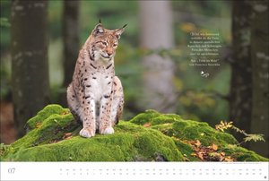 Der deutsche Wald - Ein literarischer Spaziergang Kalender 2025 - Ein literarischer Spaziergang