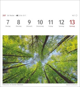 Farben der Natur Postkartenkalender 2025