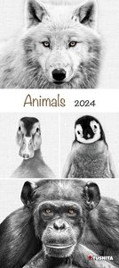 Animals 2024