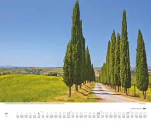Bäume – Alleen 2025 – Wandkalender 52 x 42,5 cm – Spiralbindung