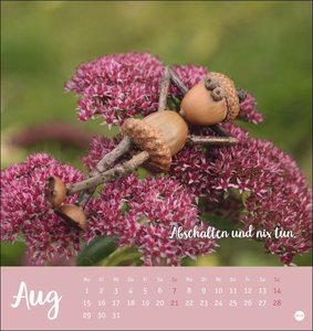 Eichelmännchen Postkartenkalender 2022