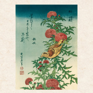 Hokusai/Hiroshige - Nature 2022