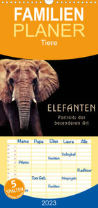 Familienplaner Elefanten - Portraits der besonderen Art (Wandkalender 2023 , 21 cm x 45 cm, hoch)