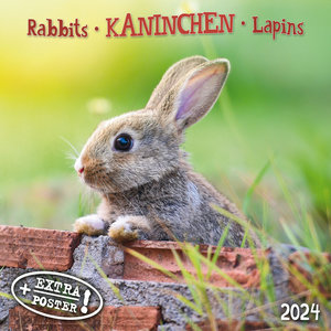 Rabbits/Kaninchen 2024