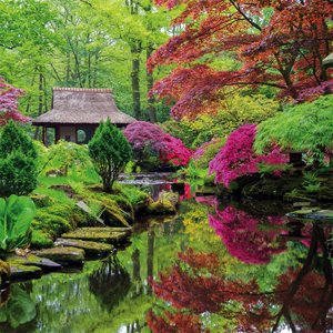 Japanese Garden 2023