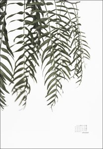 Mareike Böhmer: pure & simple Kalender 2024. Die Fotos der bekannten Designerin in einem minimalistisch-schönen großen Wandkalender. Posterkalender mit Pflanzen-Motiven.