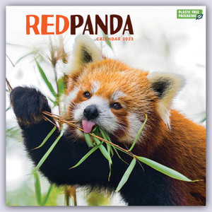 Red Panda - Rote Pandas - Rote Pandabären 2023