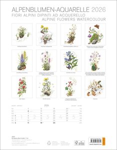 Alpenblumen-Aquarelle Kalender 2026
