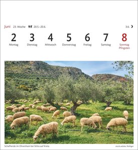 Griechische Inseln Sehnsuchtskalender 2025 - Wochenkalender mit 53 Postkarten
