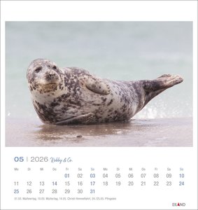 Robby & Co. Postkartenkalender 2026