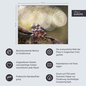 Wunderwelt der Pilze  2026