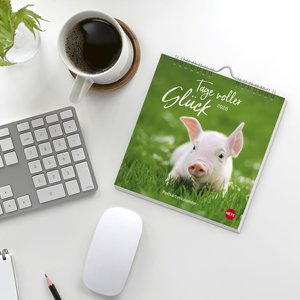 Tage voller Glück Postkartenkalender 2026