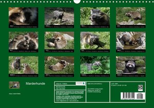 Marderhunde