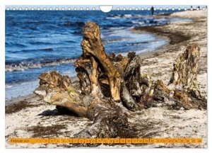 Wilder Darßer Weststrand (Wandkalender 2025 DIN A4 quer), CALVENDO Monatskalender