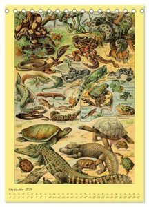 Prächtige Naturtafeln (Tischkalender 2024 DIN A5 hoch), CALVENDO Monatskalender
