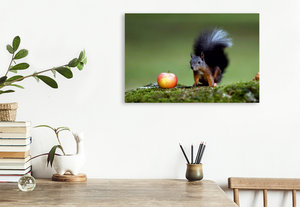 Premium Textil-Leinwand 75 cm x 50 cm quer Ein Motiv aus dem Kalender Eichhörnchen kleine Fotostars