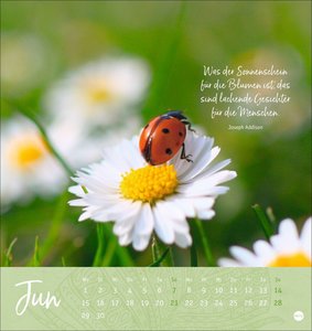 Tage voller Glück Postkartenkalender 2026