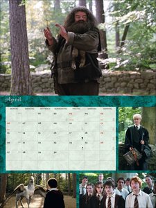 Harry Potter Broschur XL 2026