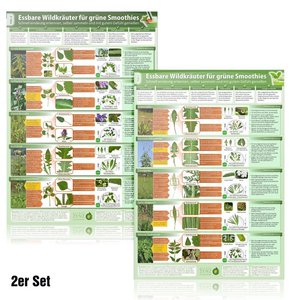 [2er Set] Essbare Wildkräuter für Grüne Smoothies - Erkennungskarten Teil 1&2 (2024), mit 1 Karte, mit 1 Beilage. Tl.1 u. 2
