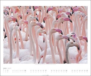 Welt der Vögel Kalender 2022