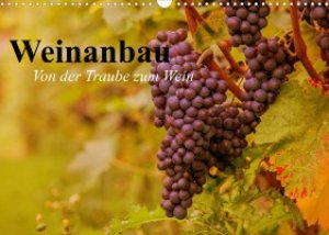 Weinanbau. Von der Traube zum Wein (Wandkalender 2023 DIN A3 quer)