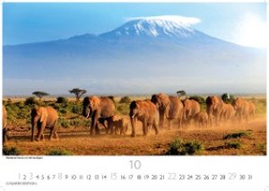 African Wildlife 2023 S 24x35cm