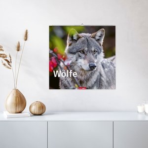 Wölfe 2026