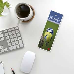 Gute Gedanken Lesezeichen & Kalender 2026