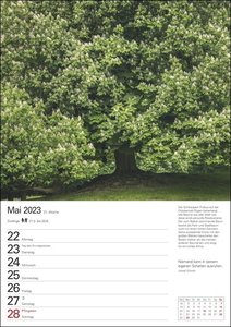 Bäume Wochenplaner 2023