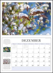 Garten-Kalender 2023 - Broschürenkalender - mit informativen Texten - mit Jahresplaner - Format 42 x 29 cm