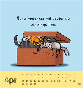 Catzz Postkartenkalender 2026
