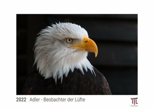 Adler - Beobachter der Lüfte 2022 - White Edition - Timokrates Kalender, Wandkalender, Bildkalender - DIN A4 (ca. 30 x 21 cm)
