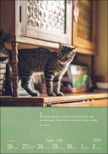 Literaturkalender Katzen Wochen-Kulturkalender 2023. 53 Katzenporträts und katzenverliebte Literaturauszüge in einem Wochenkalender 2023. Dekorativer Kalender für Katzenliebhaber.