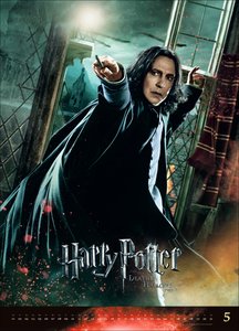 Harry Potter Filmplakate Edition 2025