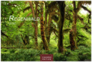 Regenwald 2022 S